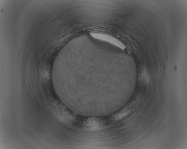 X0000087410608200705181359