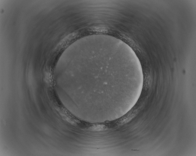 X0000087410609200705181359