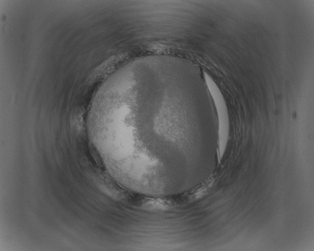 X0000087410611200705181359