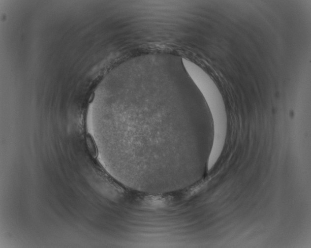 X0000087410613200705181359