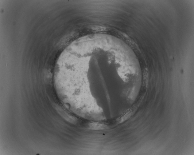 X0000087410614200705181359