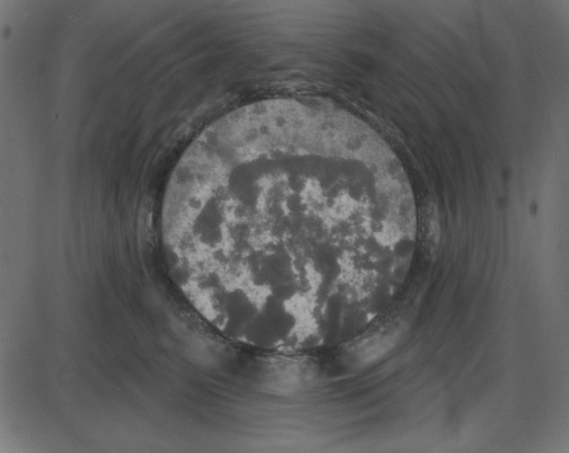 X0000087410615200705181359