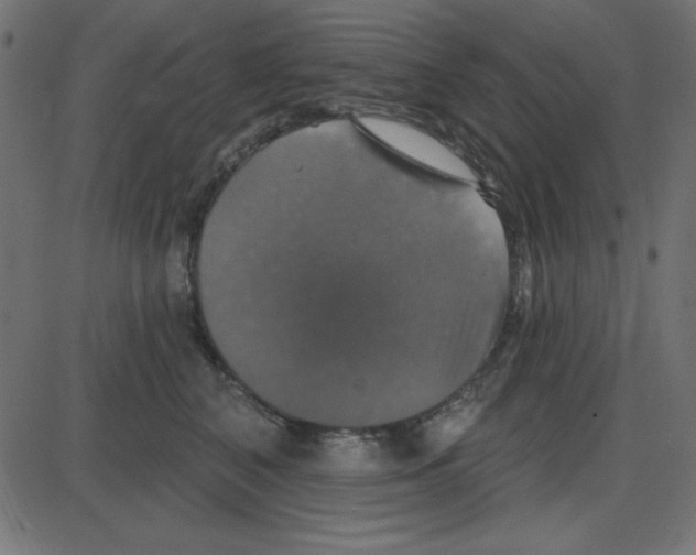 X0000087410616200705181359