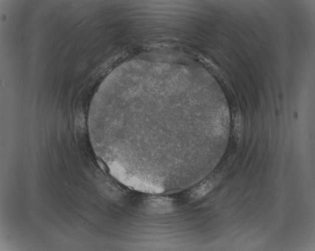 X0000087410617200705181359