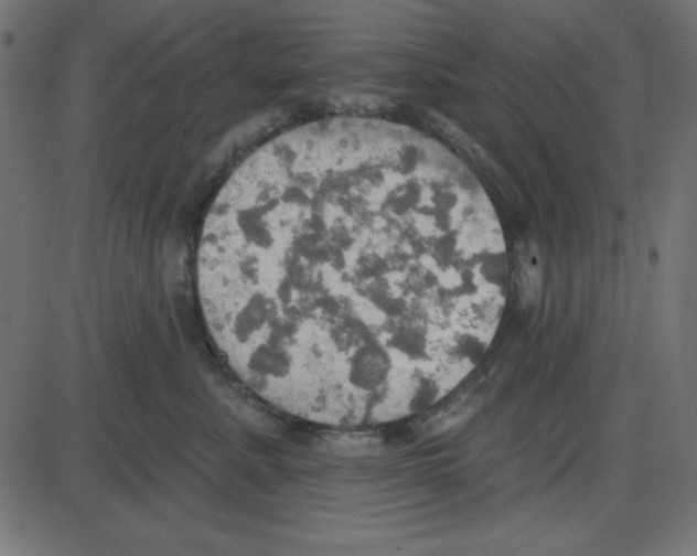 X0000087410619200705181359