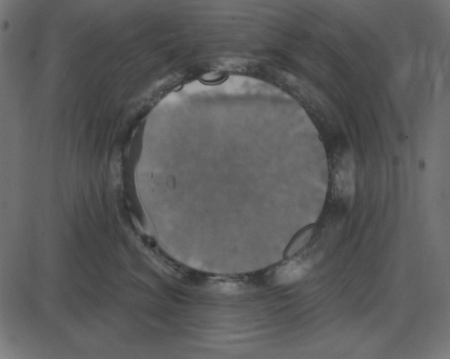 X0000087410620200705181359