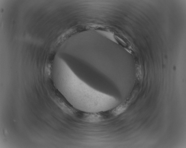 X0000087410621200705181359