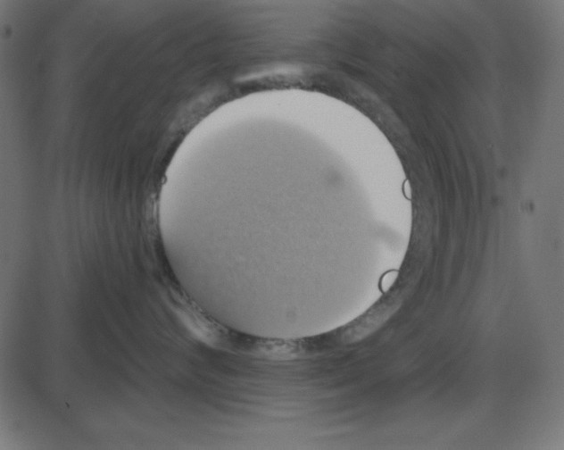 X0000087410624200705181359