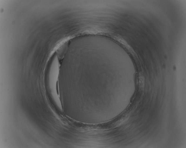 X0000087410626200705181358