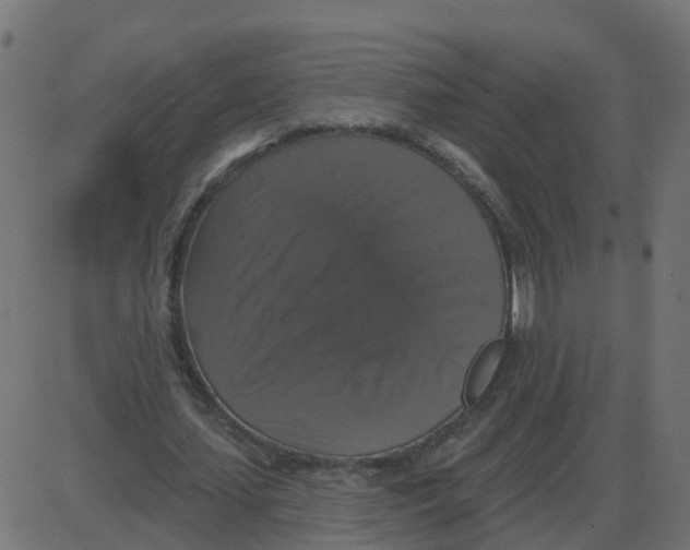 X0000087410627200705181358