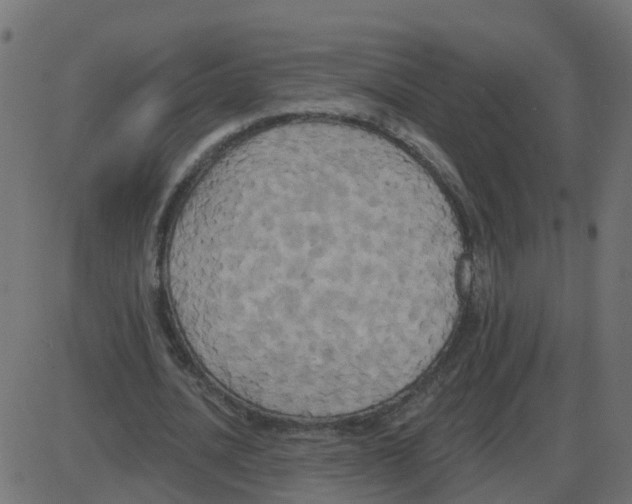 X0000087410628200705181358