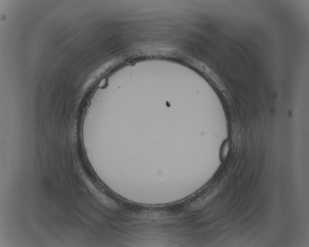 X0000087410629200705181358