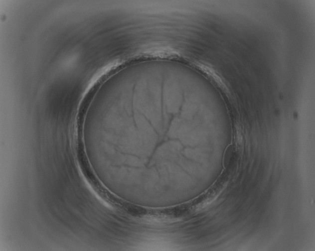 X0000087410630200705181358