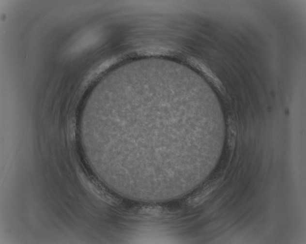 X0000087410631200705181358