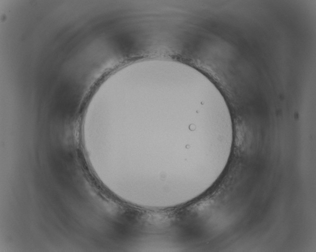 X0000087410632200705181358