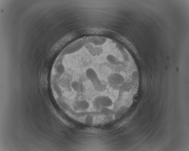 X0000087410633200705181358