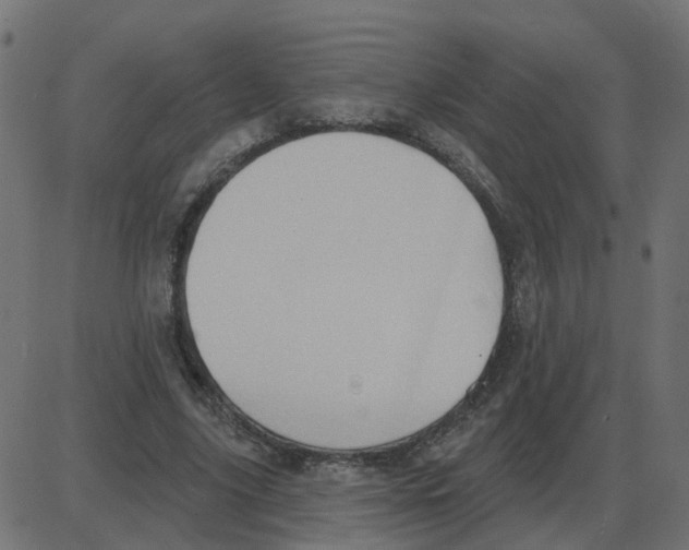 X0000087410635200705181358