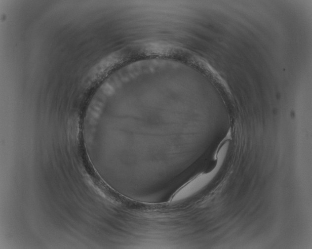 X0000087410637200705181358