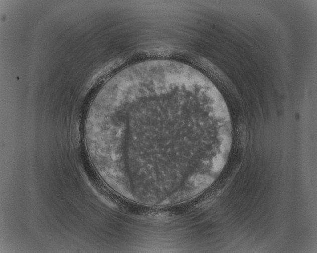 X0000087410638200705181358