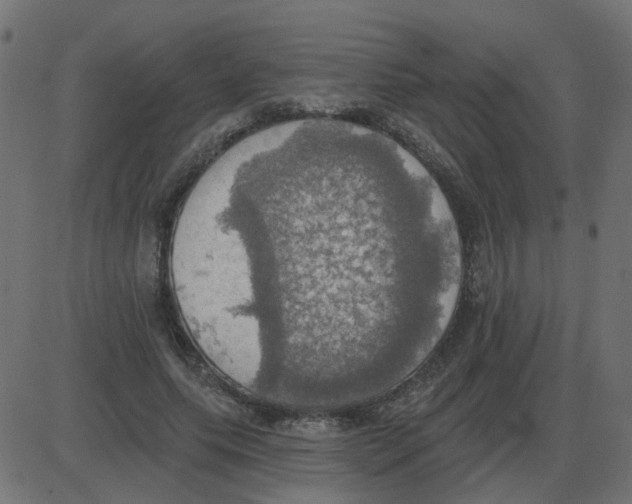 X0000087410639200705181358