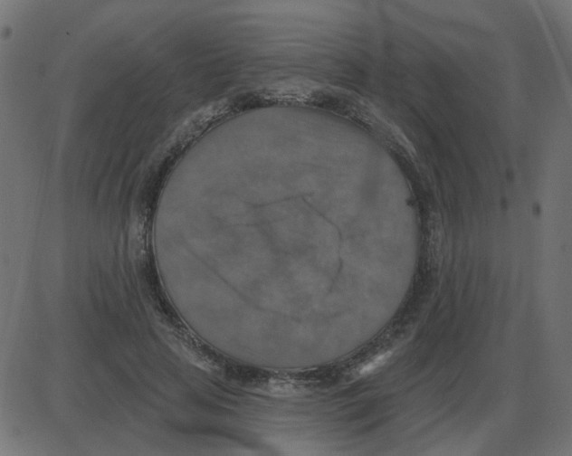 X0000087410641200705181358