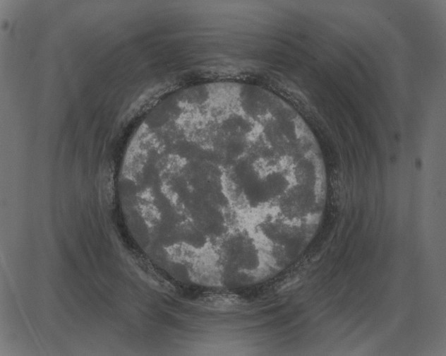 X0000087410642200705181358