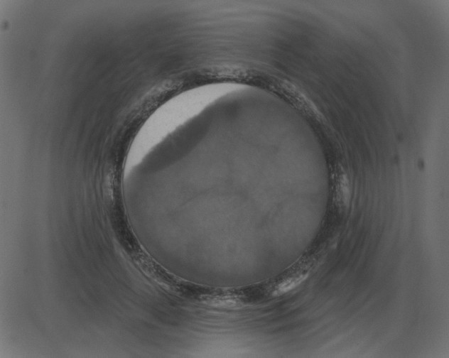 X0000087410643200705181358