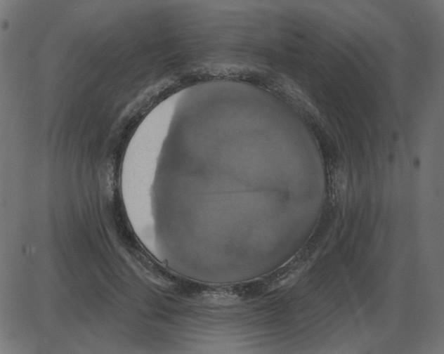 X0000087410644200705181358