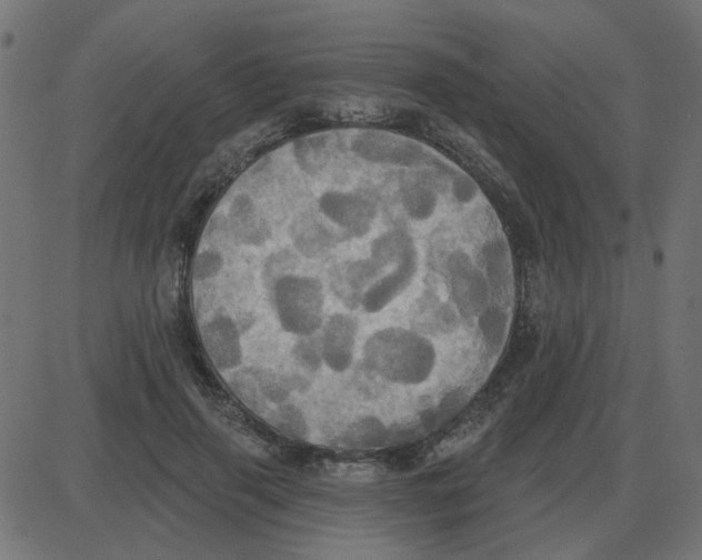 X0000087410645200705181358