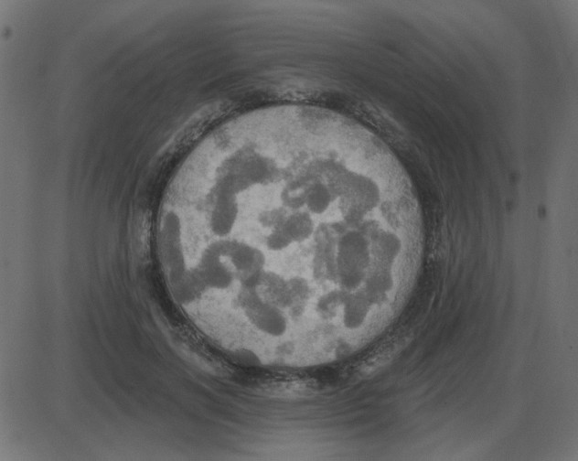 X0000087410646200705181358