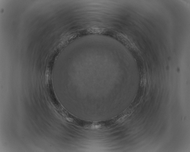 X0000087410647200705181358