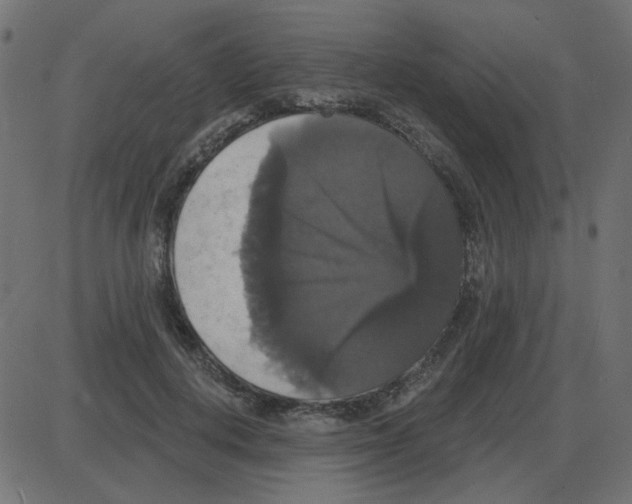 X0000087410648200705181358