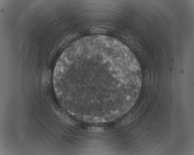 X0000087410649200705181358