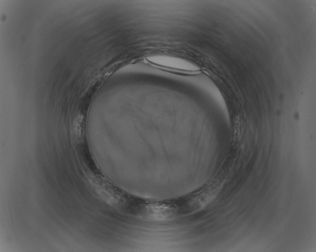 X0000087410650200705181358