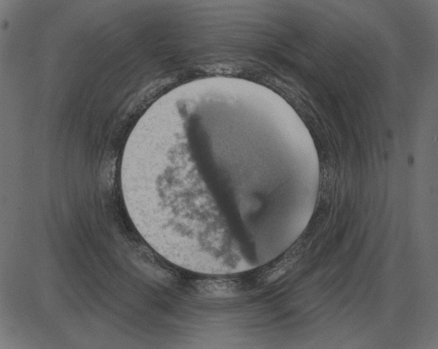 X0000087410652200705181359