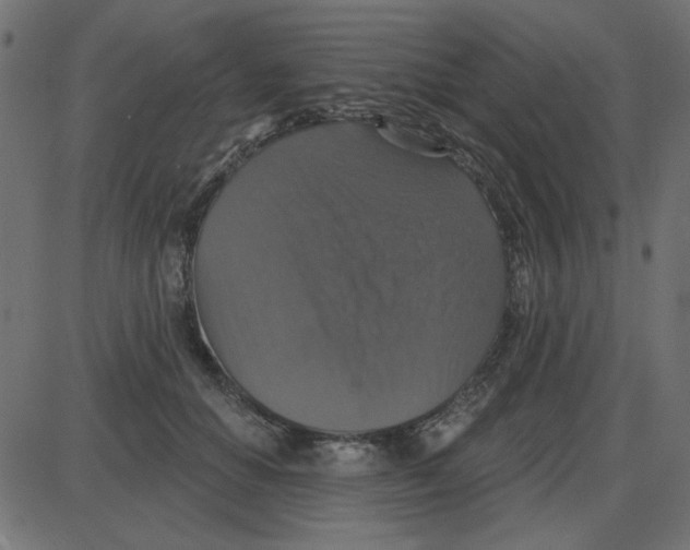 X0000087410654200705181359