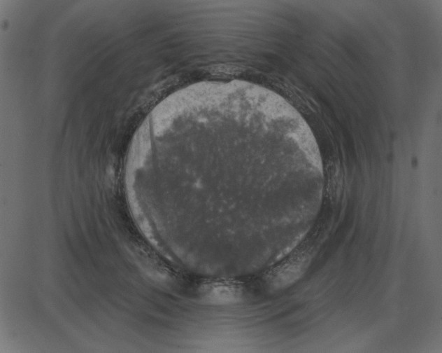 X0000087410655200705181359