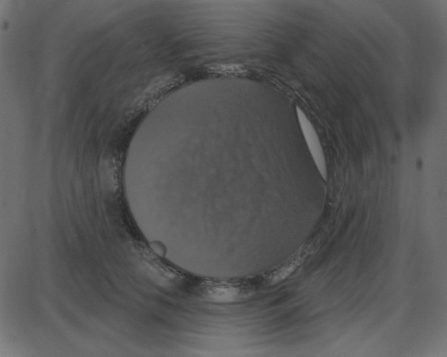 X0000087410658200705181359