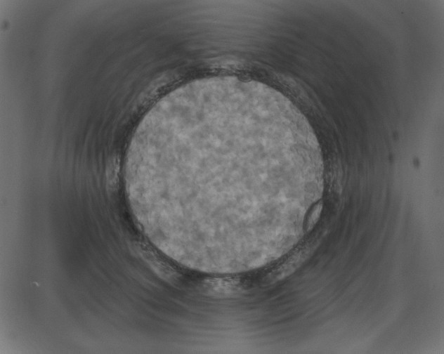 X0000087410660200705181359