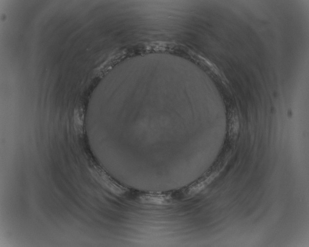 X0000087410661200705181359