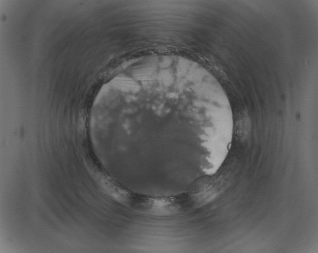 X0000087410662200705181359