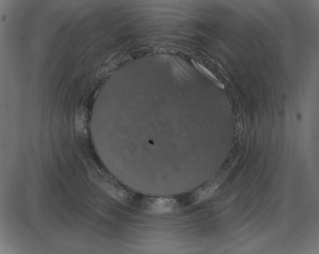 X0000087410663200705181359