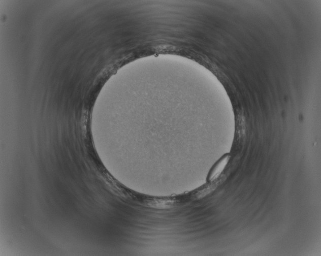 X0000087410664200705181359