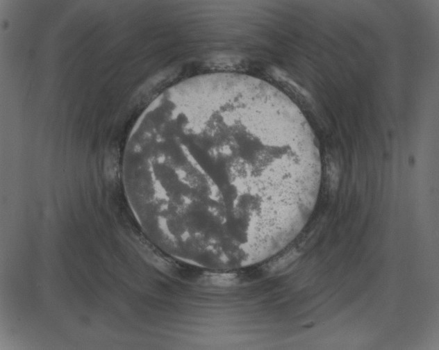 X0000087410665200705181359