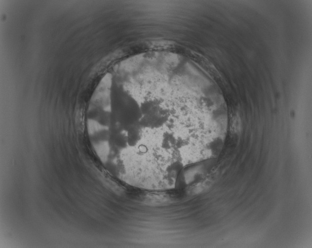 X0000087410666200705181359