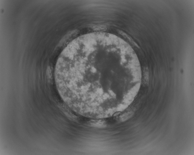 X0000087410667200705181359