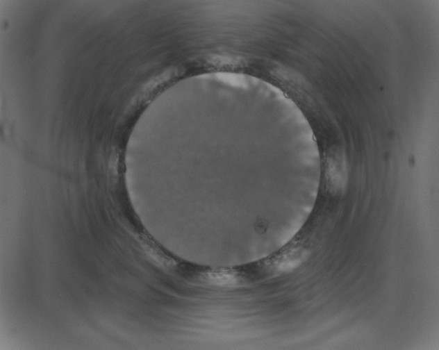 X0000087410668200705181359