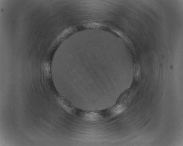 X0000087410669200705181359