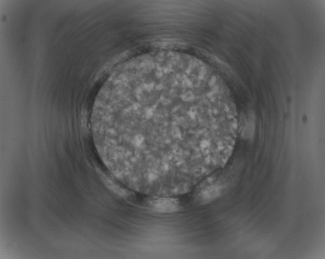 X0000087410670200705181359