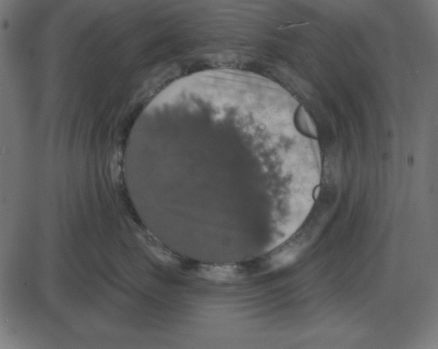 X0000087410671200705181359